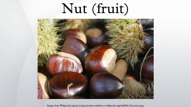 Nut (fruit) смотреть онлайн