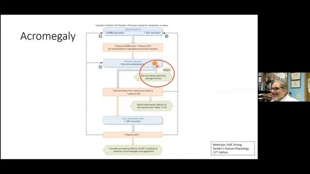 [Lecture Session 4] Endocrinology (Physiology and Pathophysiology) by Prof. Hershel Raff смотреть онлайн