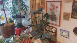 1 января 2024 - рум тур - 26 кв.метров))) Рената Смирнова. Рига