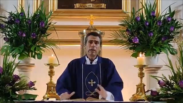 Homilía 10/03/23 - Mateo 21, 33-43.45-46 - Parábola de los viñadores homicidas. смотреть онлайн