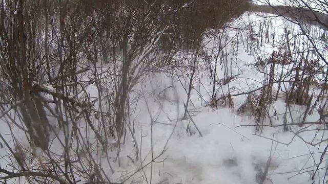 Пришел волк. Переставил петлю. смотреть онлайн