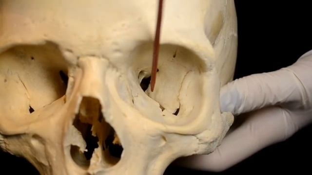 The orbit смотреть онлайн