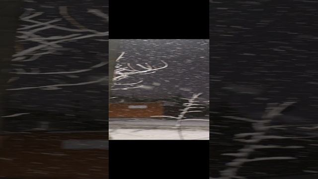 В Краснодаре выпал снег ❄️❄️❄️ на старый новый год