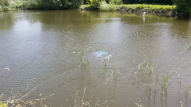Кастинговая сеть с большим кольцом (фрисби)
