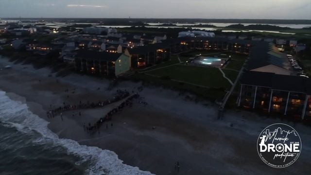 NEW: BABY Sea Turtles RACE to Ocean (DRONE POV!) (North Carolina) смотреть онлайн