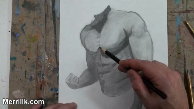 How to Draw the Male Torso, Chest, Arms- Step by Step смотреть онлайн