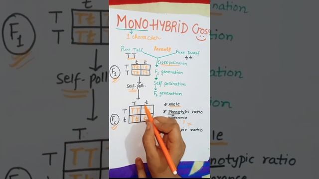 Master Monohybrid Cross: Simplified in 50 Seconds! ✅ смотреть онлайн