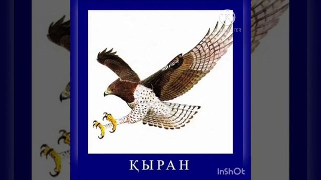 Құстар біздің досымыз!! смотреть онлайн