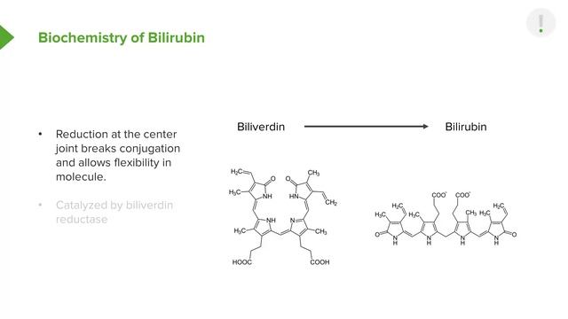 04.08 Biochemistry Of Bilirubin