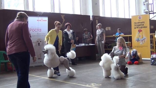 00252 Главный БЭСТ. Моно " ЧЕЛЯБА" 2015 смотреть онлайн