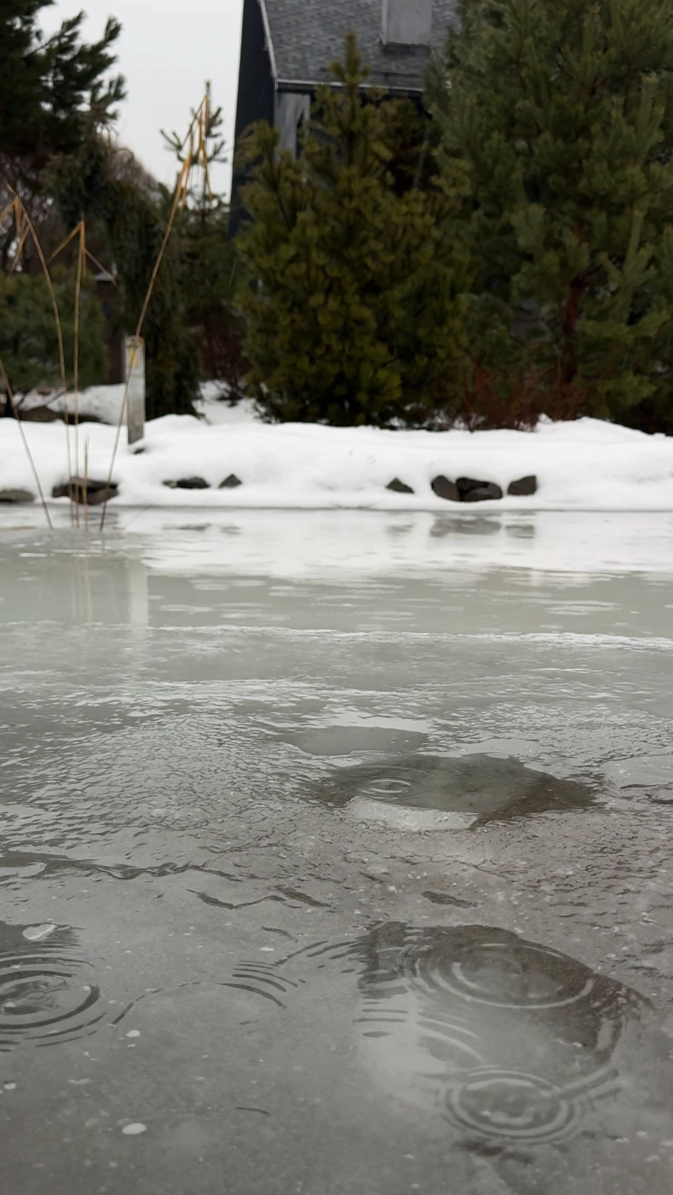 В очередной раз про влагозарядный полив смотреть онлайн
