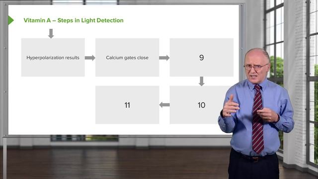 01.02 Vitamin A Steps in Light Detection смотреть онлайн