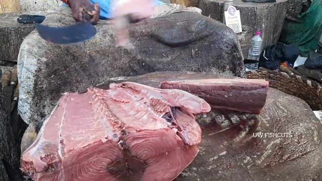 BIGGEST 40KG | 150$ | YELLOW FIN TUNAFISH | SUPER CUTTING SLICES | CUBE CUTTING SKILLS смотреть онлайн