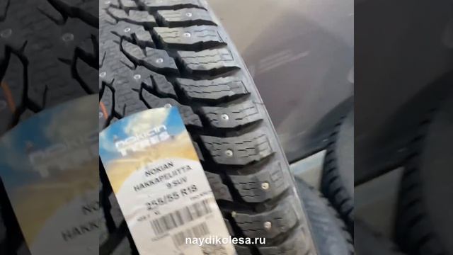Зимние шипованные шины Нокиан Хаккапелита 9 Nokian Hakkapeliitta 9 на примере 255 55 R18