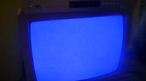 ОБЗОР VHS ВИДЕОКАССЕТ с ШРАМ ИЗ КОРОЛь ЛЕВ, МАРКУСС И ГЕРОИ МУЛьТФИЛьМОВ
