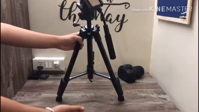 Best budget tripod for 2400 simplex 691 смотреть онлайн