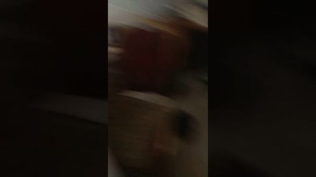 необычный компот, загадка навсегда, но правда ли это? смотреть онлайн