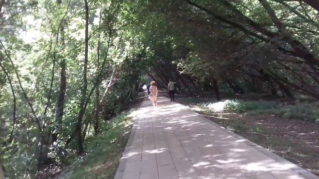 Деревья растут под углом 90градусов /Парк Москворецкий смотреть онлайн