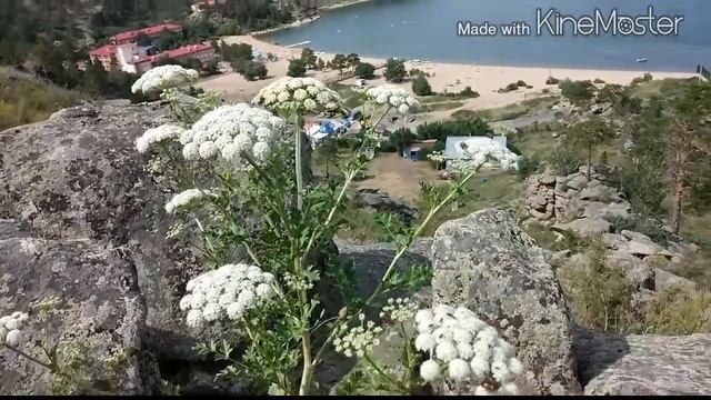 Казах елi смотреть онлайн