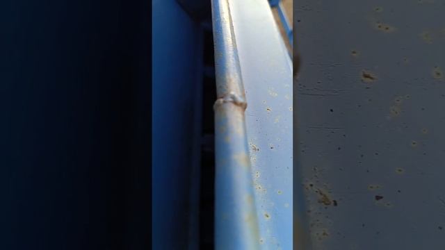 Обзор на Сеялку Зерновую СЗ-3.6 смотреть онлайн