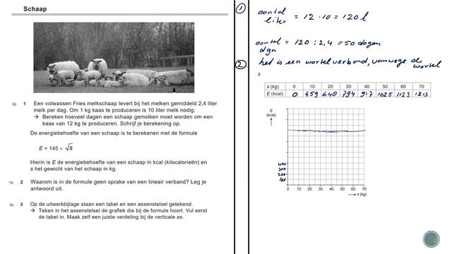 Wiskunde Examen Vmbo GL/TL 2021 Tijdvak 2 Opg 1 tm 4 смотреть онлайн