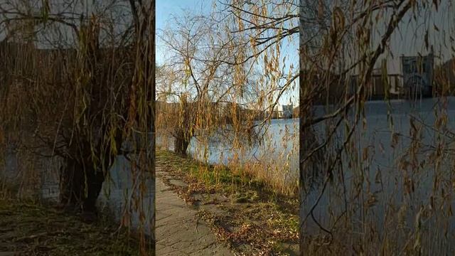 Донецк 04.12.2022. смотреть онлайн