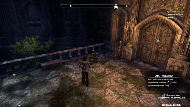 Знакомство с TESO на стриме