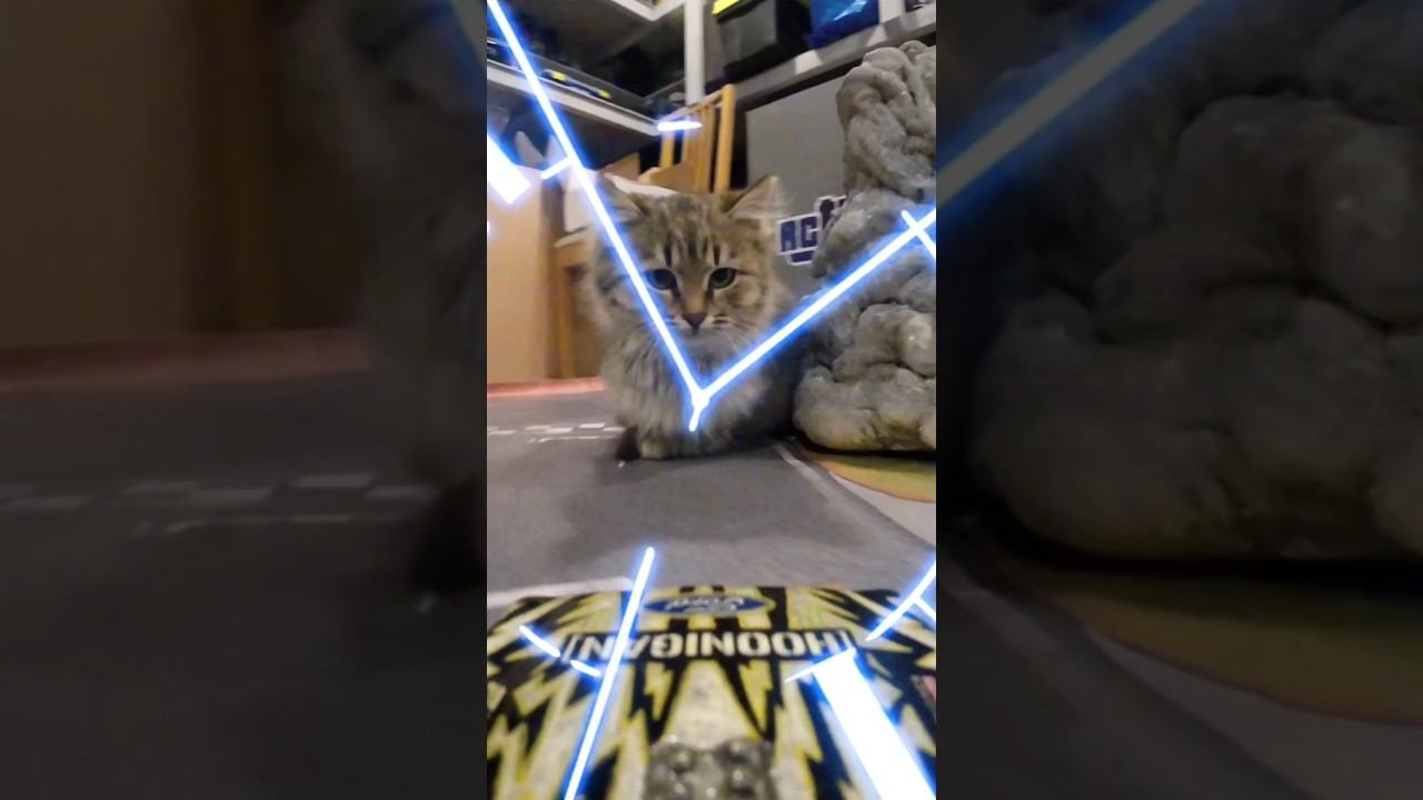 Drift king cat Boos смотреть онлайн