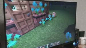 Строим дом в Maincraft