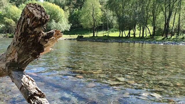 Горная река Чемал, Исцеление водой смотреть онлайн