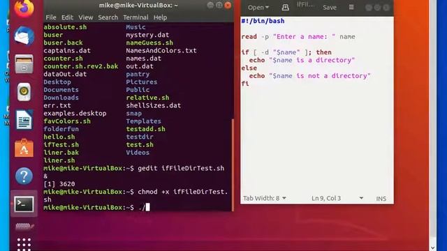 BASH IF Tests for Files and Directories смотреть онлайн