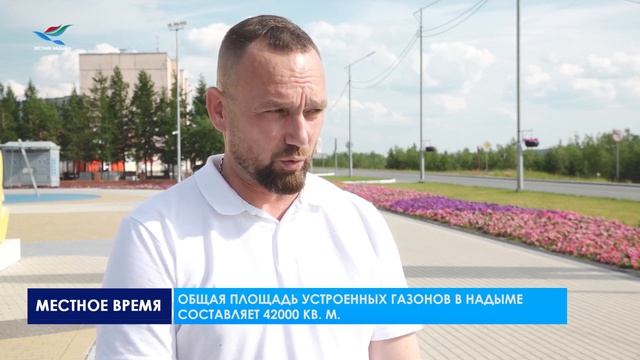 В Надыме высажено более 160000 саженцев цветов смотреть онлайн