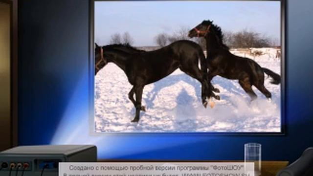 Эх, Кони!.mp4 смотреть онлайн