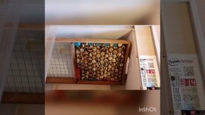 Инкубация перепелиных яиц в инкубаторе норма луппер на 72 яйца