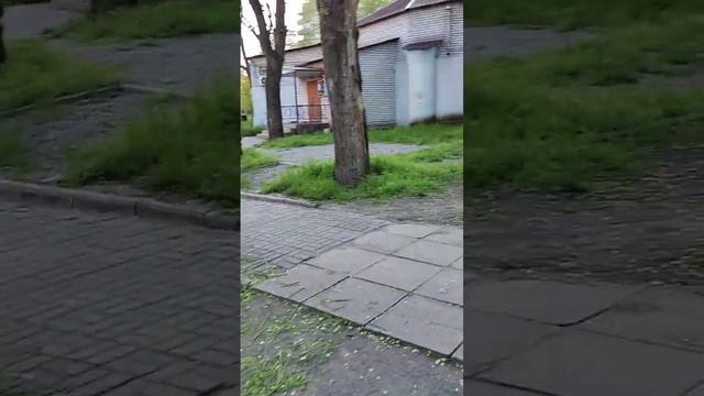 🇺🇦 Запорожье. 02.05.23. Вечерняя прогулка по парку Дробязко в старой части города.＋14℃. Солнечно. смотреть онлайн