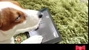 Локи бобо играет в бабку грени 💋🥰🥰