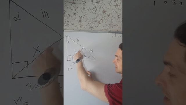 Свойство прямоугольного треугольника. смотреть онлайн