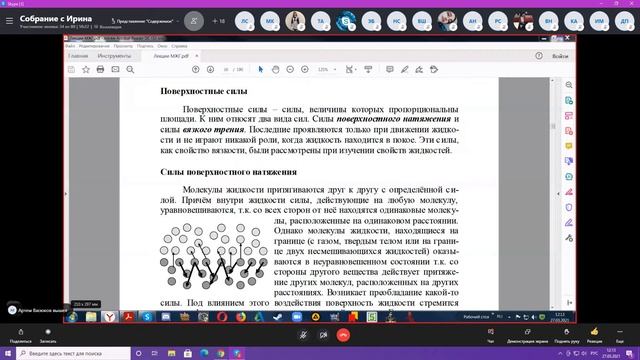 МЖГ лекция (27.03.21) смотреть онлайн