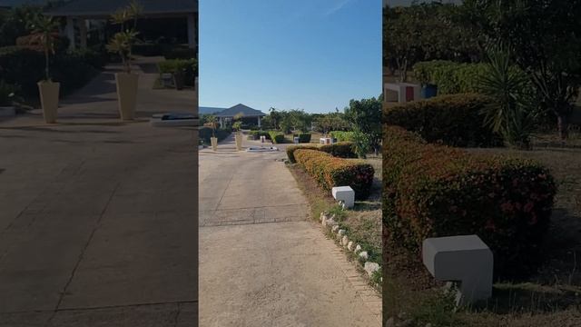 Valentin Perla Blanca Cayo Santa Maria... abandonné part 2!! смотреть онлайн