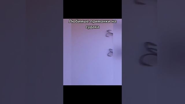 Лучшие Вибы Ратлины на СУДАКА.mp4 смотреть онлайн