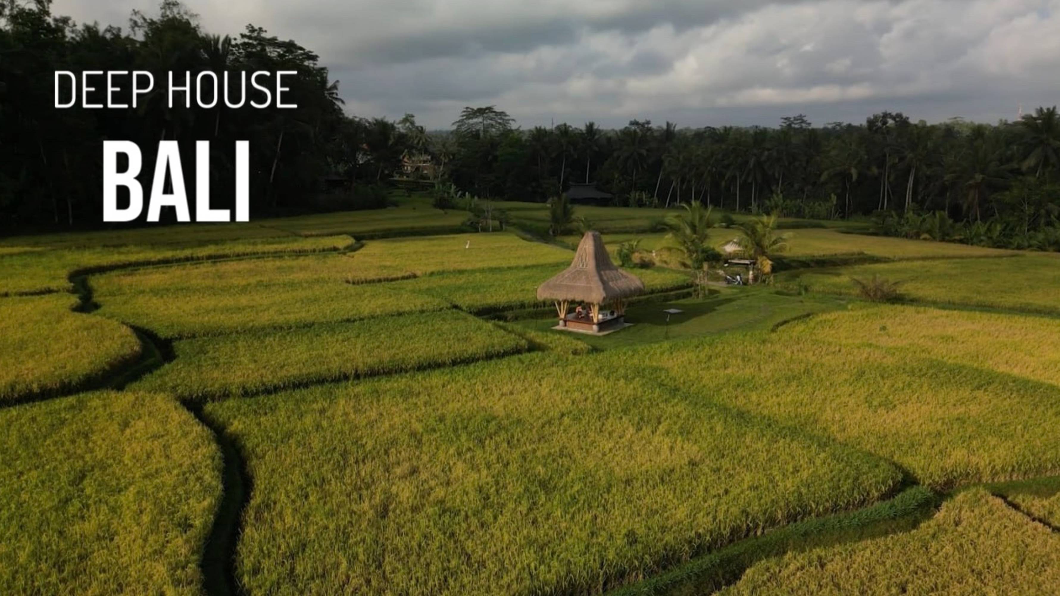Bali Ubud Ricefield Yoga Podcast