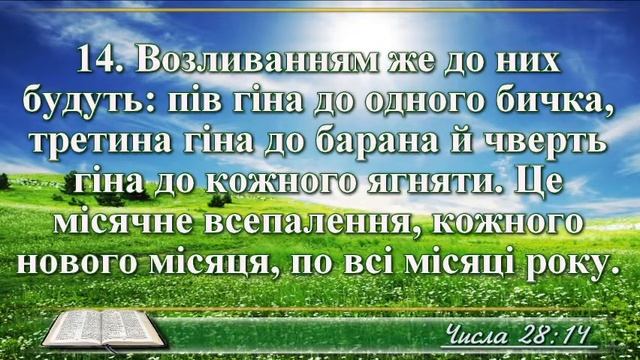 ВідеоБіблія Книга Числа розділ 28 Хоменка смотреть онлайн