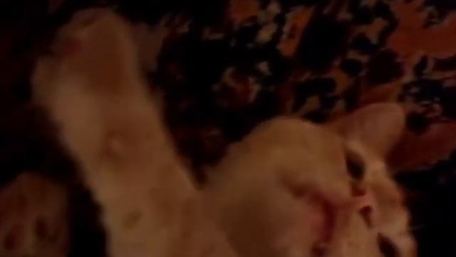 То ли я не я! смотреть онлайн