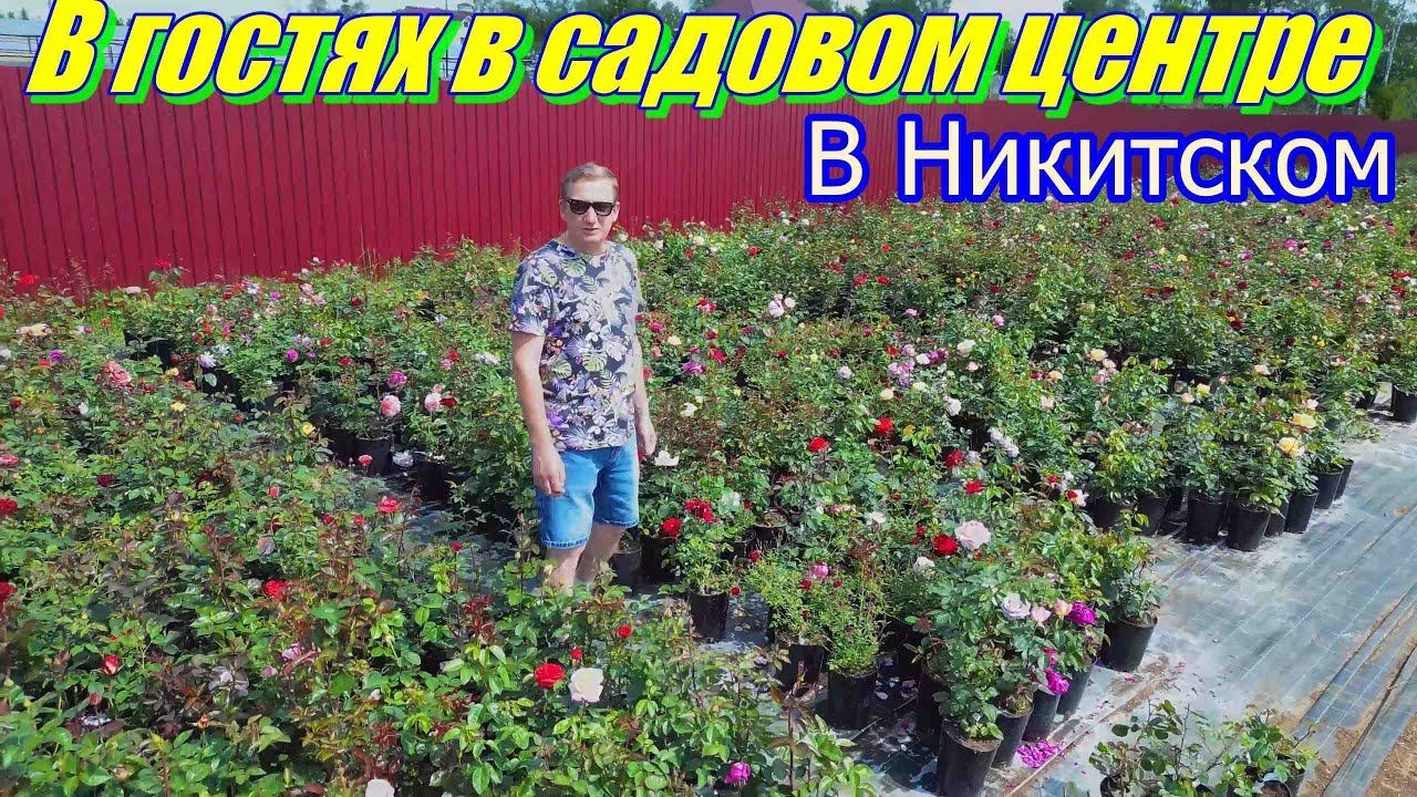 В гостях в садовом центре в Никитском. смотреть онлайн