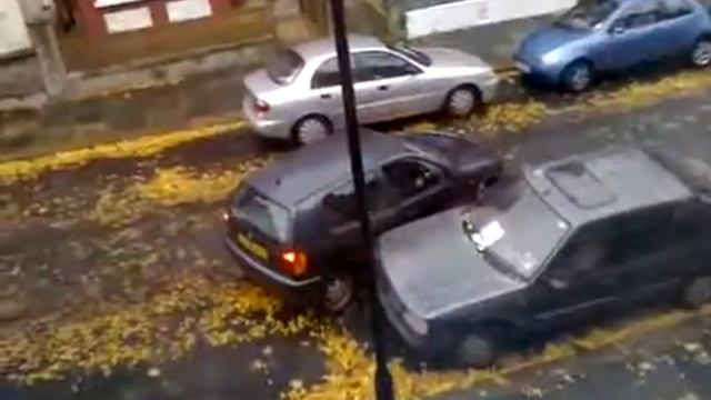 Парковка задним ходом. смотреть онлайн