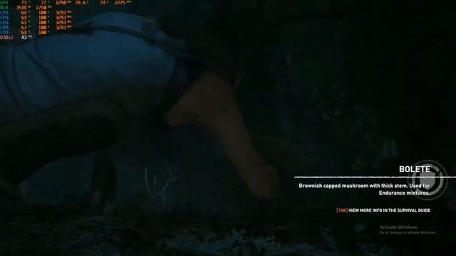 shadow of the tomb raider on core i3 3220 and amd rx 570 смотреть онлайн