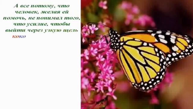 ТРУДНОСТИ ЕСТЬ ВЕЗДЕ! ЖЕЛАНИЕ ПОЗИТИВ УСПЕХ! смотреть онлайн
