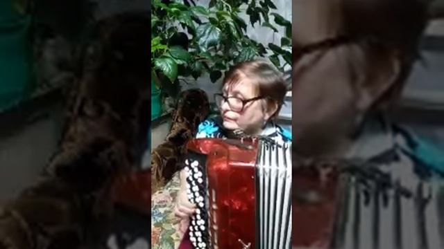 У моей России! - Стихи Н Мелеховой, музыка Марины Овсянкиной смотреть онлайн