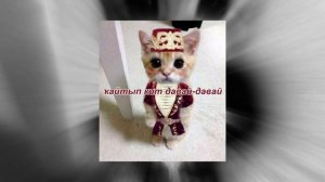 фанис султангулов - кайтып кит давай-давай (sped up)