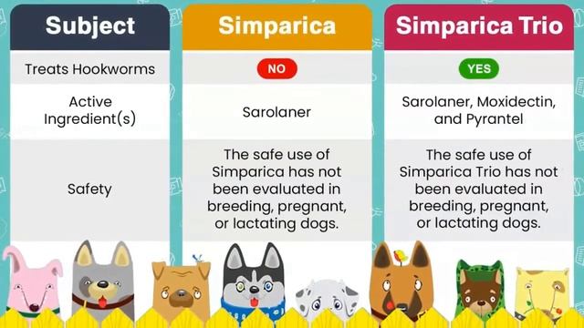 Simparica vs Simparica Trio смотреть онлайн